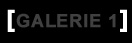 GALERIE 1
